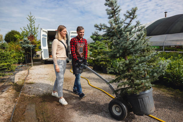 Best Palm Tree Trimming  in Gambier, OH